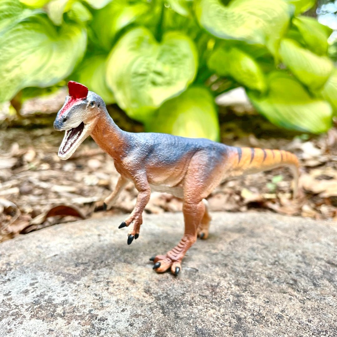 Cryolophosaurus Toy