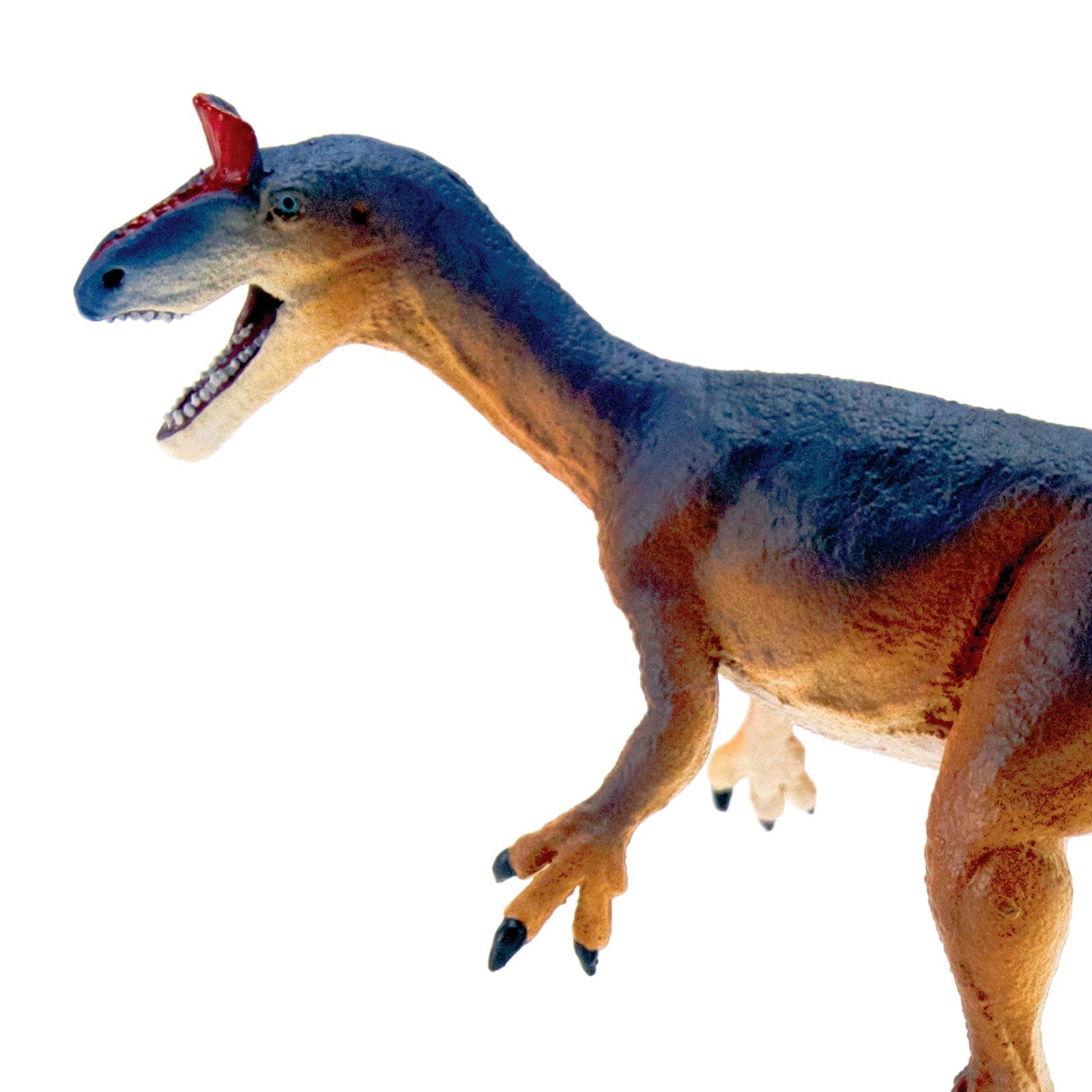 Cryolophosaurus Toy