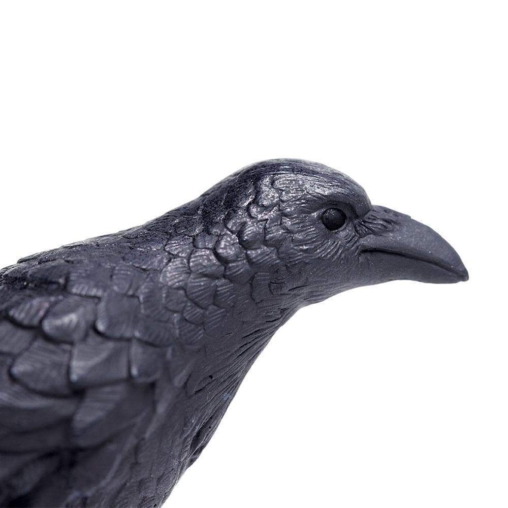 Raven Toy